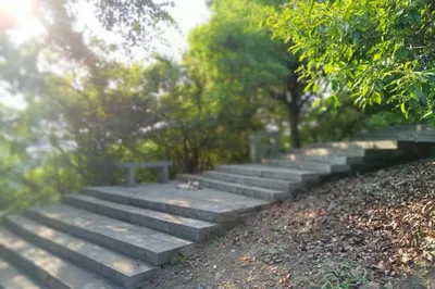 Shanghai-Xuancheng: An Impromptu Three-Day, Two-Night Relaxation Trip