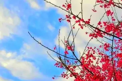 靈龍穀風景專刊 || 把風景醞釀成畫~