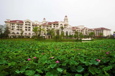 Weekend Water Fun with Kids - Hotel Review: Taizhou Country Garden Phoenix Hotel