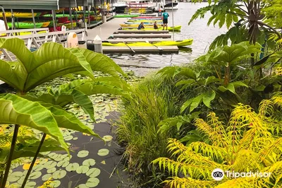 Agua Verde Paddle Club