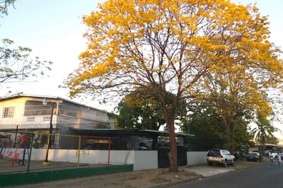 Parque de Villa Rica