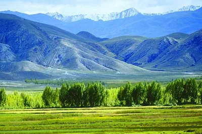 Nimu National Forest Park