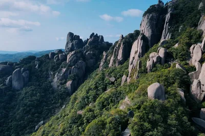 “All White Tea Originates from Taimu”: Searching for the King of Teas on Mount Taimu