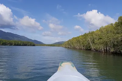 Mangrove Tour Tanjung Rhu Langkawi