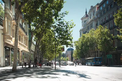 Four Must-Visit Shopping Districts in Madrid for Shopaholics