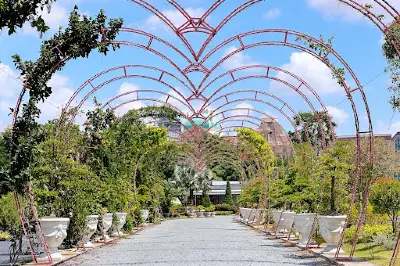 Norea Garden