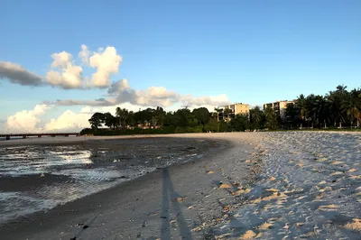 Palm Beach