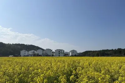 阳春三月爬黄山 打卡宏村水墨画
