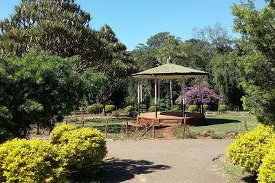 City Park