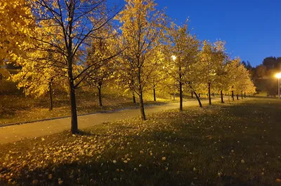 Brateyevskiy Kaskadnyy Park