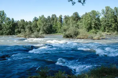 RIC Sava