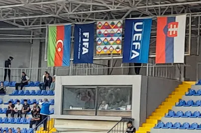 Dalga Arena