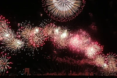 Blooming Flowers in the Night Sky – Adorning Osaka's Summer Fireworks Festivals