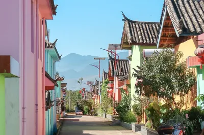 Nine Color Rose Town