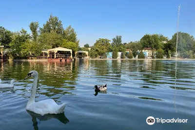 Central Park Tashkent