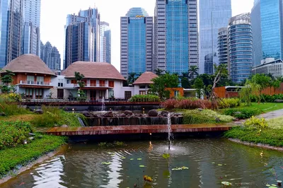 Hutan Kota GBK