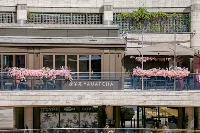 倫敦粵式茶點去哪吃？唐茶苑Yauatcha米其林餐廳