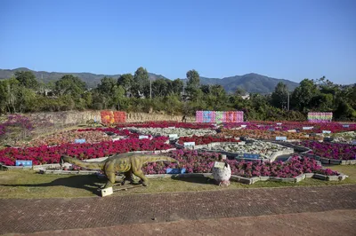 天行森林公園