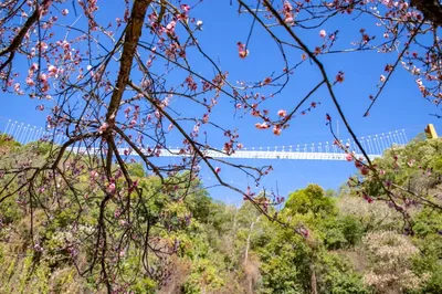 Safe Spring Festival Getaway Around Kunming: Green Forests, Grand Canyons, Rafting - Embark on an Eco-Tour