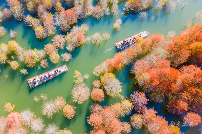A must-visit autumn destination that has become popular nationwide. It's said to feel like the Kanas of Jiangnan after visiting. What do you think?