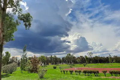 Bosque de Tláhuac