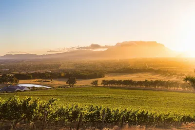 De Grendel Wine Estate and Restaurant