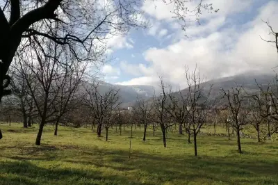 土耳其丨伊斯坦布尔及最近的滑雪度假胜地Kartepe