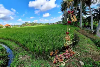 Ubud Kajeng Rice Fields Walk