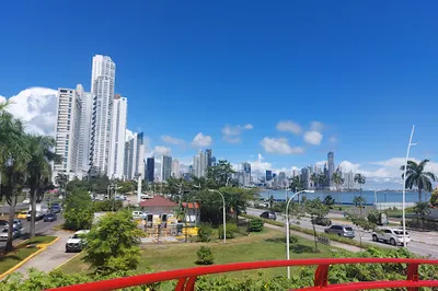 Pacific Lookout