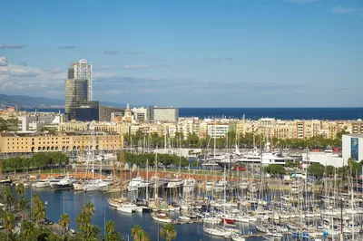Port vell in Barcelona