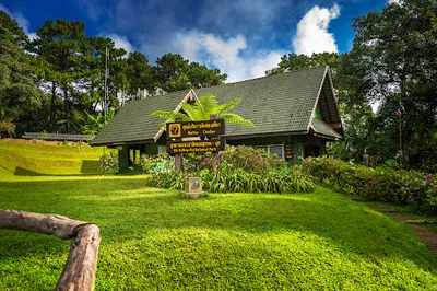 Doi Pui Camping Area