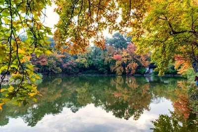 想去古城蘇州的朋友們注意啦，這份《蘇州國慶遊玩指南》，請一定收藏！
