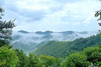 A Mysterious Homestay Appears on the Wannan Sichuan-Tibet Route – A Private Courtyard That Draws Self-Driving Travelers from Far and Wide!