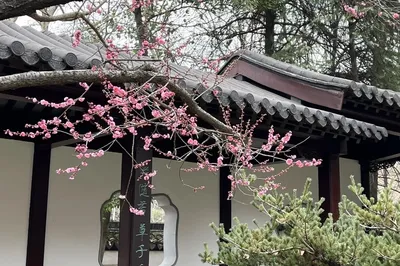 Nanjing Yuhuatai Scenic Area - Meigang