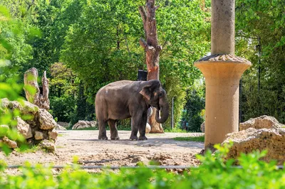 Hellabrunn Zoo