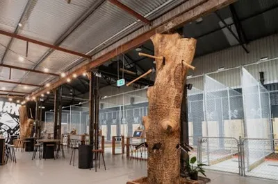 MANIAX Axe Throwing - NEWSTEAD