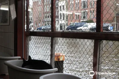猫船