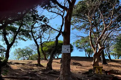 La Montañita