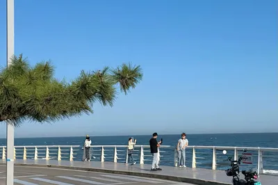 Bohai Bay