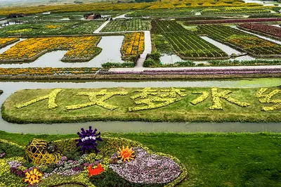 Xinghua Qianduo Scenic Area Adds New Live Show: Crabs, Chrysanthemums, Music and Food Festival is Amazing!