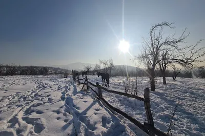 Almaty Hills
