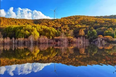 Hebei’s Seven-Color Forest: A 4-Hour Drive from Beijing into Its Most Beautiful Season