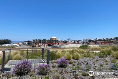 Presidio Tunnel Tops