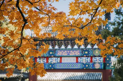 Xiangshan Park