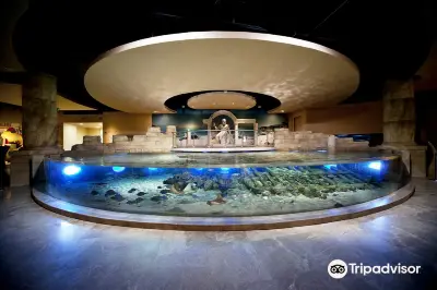 Istanbul Aquarium