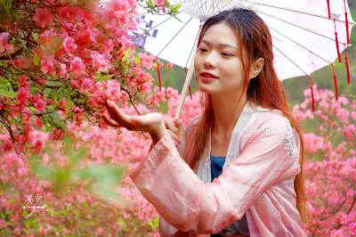 武汉云雾山，万亩杜鹃红；人间已是四月天，花开时节又逢君