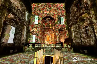 Cattedrale dell’immagine