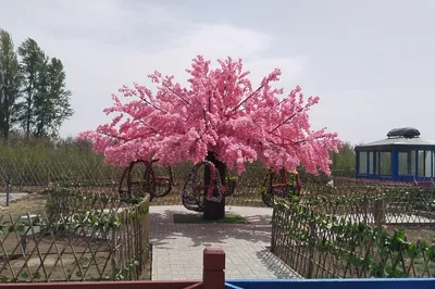 Baotou Travel Guide | Dayantan Scenic Area Welcomes a Tourist Surge!