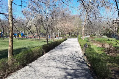 Parcul Gheorghe Petrașcu