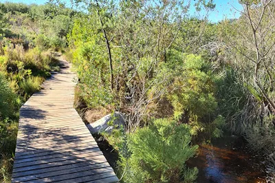 Silvermine Reservoir